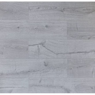 809 ASU Дуб Тесей