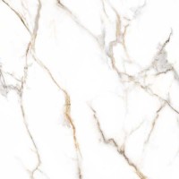 80CL23P CALACATA GOLD P 120x120