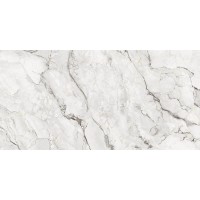 80O134E Керамогранит Camouflage Natural 60x120