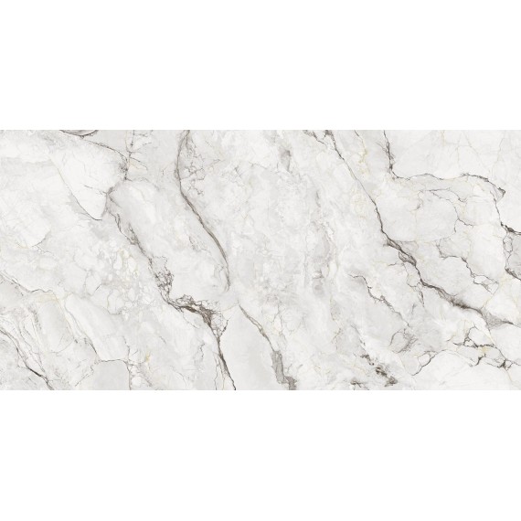 Керамогранит 80O134E Керамогранит Camouflage Natural 60x120