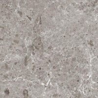 80RC33P Artic Gris Pulido 120x120