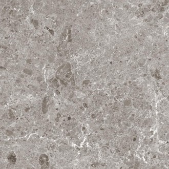 80RC33P Artic Gris Pulido 120x120