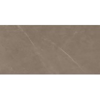 8100 PIETRA ACTIVE GRAY 60x120