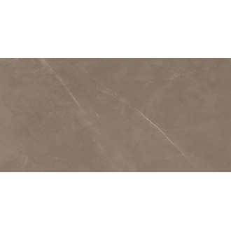 8100 PIETRA ACTIVE GRAY 60x120