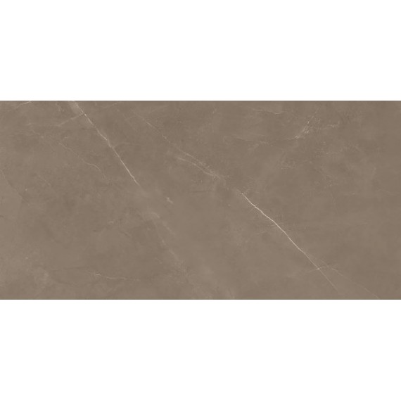 Керамогранит 8100 PIETRA ACTIVE GRAY 60x120