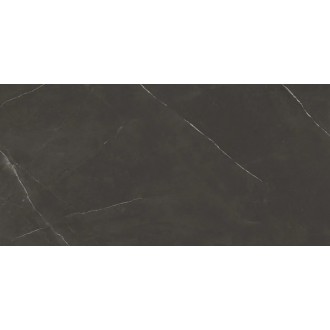 8102 PIETRA ACTIVE BLACK 60x120