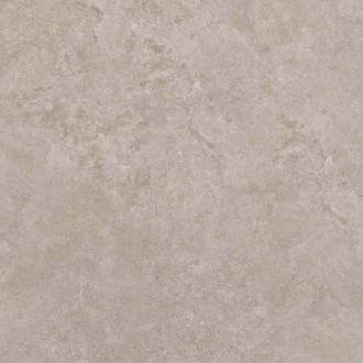 8162 Керамогранит Shell LG 60х60