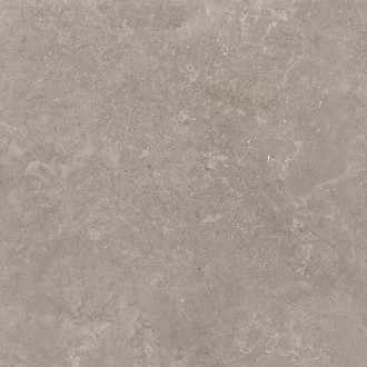 8163 Керамогранит Shell DG 60х60