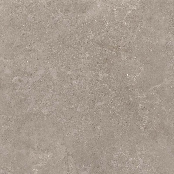 Керамогранит 8163 Керамогранит Shell DG 60х60