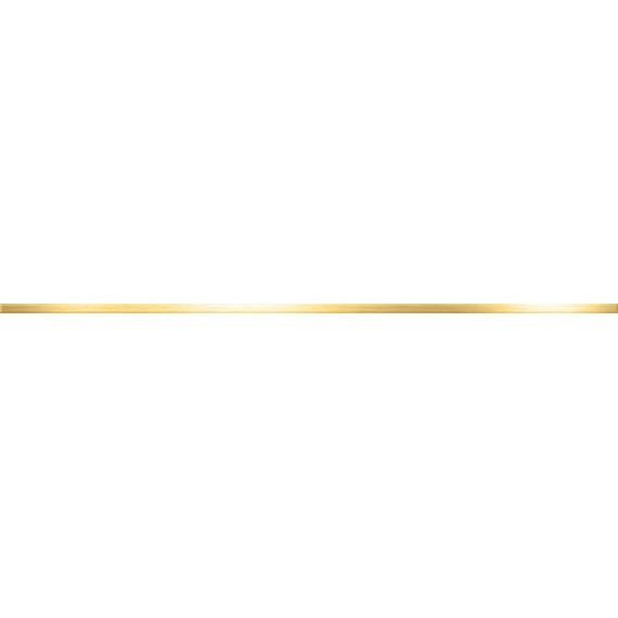 Керамическая плитка 837451009 Плитка Gold Metal Border 1.2x70