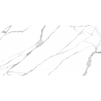 87027 STATUARIO SPLENDENTE LAPP/RETT 120x240