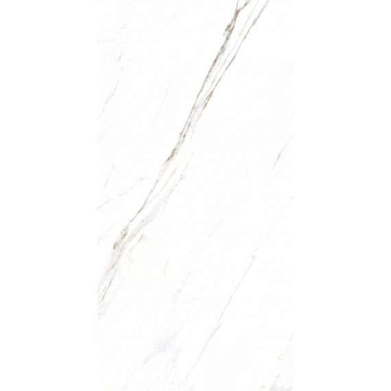 Керамогранит 885 Керамогранит Calacatta Caldia 120x60