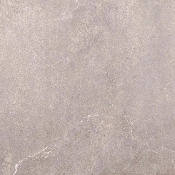 Керамогранит 88D6 AVENUE-SPR GRIS LAPP 59,3x59,3