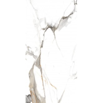 890 Керамогранит Classic Carrara 120x60