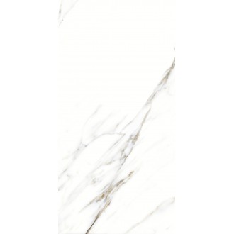893 Керамогранит Fantastic White 120x60