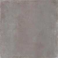 8L16 Lens-R Niquel 80x80