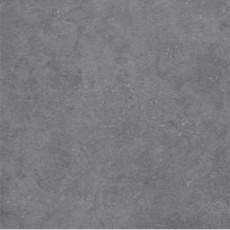 8S22 SEASTONE Gray 60x60