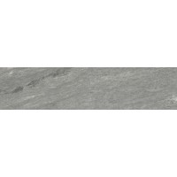 8T03 Bolano-R Gris 119.3x29.2