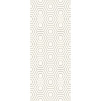 9МА451 Декор Arcobaleno Argento №5 20х50