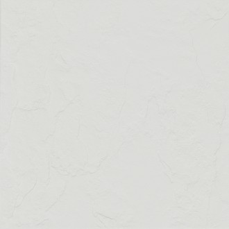 9037 Керамогранит Rsc Titan Lg 60х60