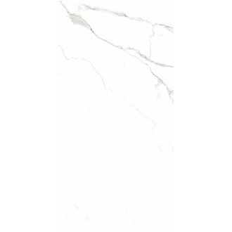 905 Керамогранит Silver Shine 120x60