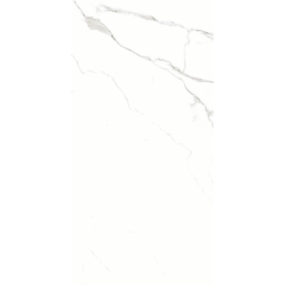 Керамогранит 905 Керамогранит Silver Shine 120x60