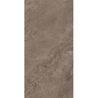 907 Керамогранит Antracita Brown 120x60