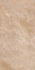 961 FIDENZA BROWN мат. 60x120