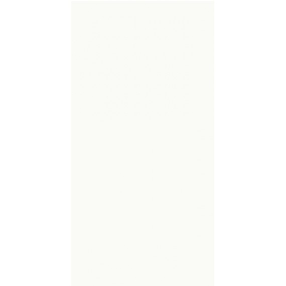 Керамогранит 97002 Absolute White Nat. Ret. 160x320