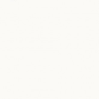 97062 ABSOLUTE WHITE RETTIFICATO 80X80