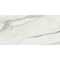 A035030 Statuary Venato Mat. Rect. 60x120