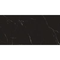 A035149 Nero Marquina 59*119
