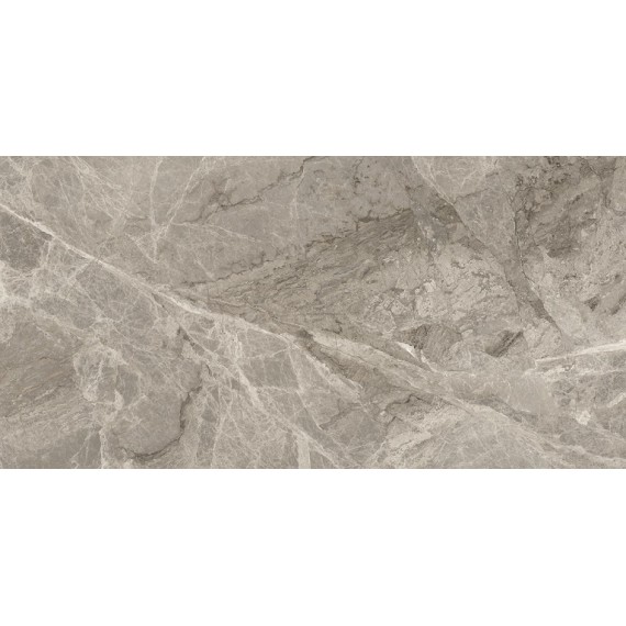 Керамогранит A035779 Silver Grey Matt. 60*120