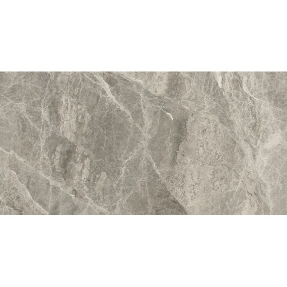 Керамогранит A035780 Silver Grey Pol. 60*120