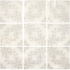 A037568 Pontes White 13x13