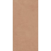 A037670 Argillae Gobi Rect R10 60х120