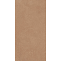 A037676 Anti-Slip Argillae Gobi Rect R11 60х120