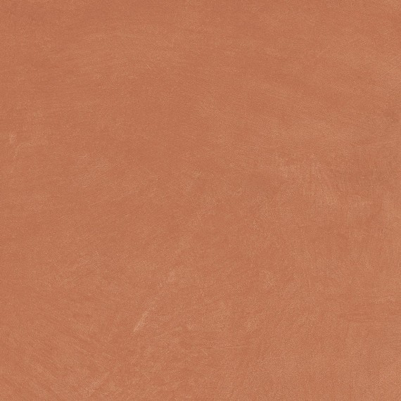 Керамогранит A037678 Argillae Coral Rect R10 60х60