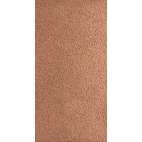 A037703 Nisus Coral Rect 60х120