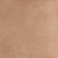 A037711 Nisus Gobi Rect 60х60