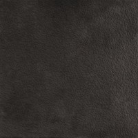 A037712 Nisus Nocta Rect 60х60