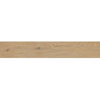 A037811 Triana Desierto Rect 20x20