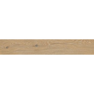 A037811 Triana Desierto Rect 20x20