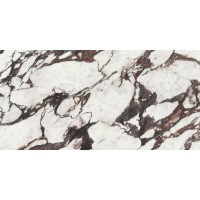 A039520 Керамогранит Medicea Marble Pol Rect 60x120