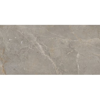 A039603 Керамогранит Augustus Brown Natural rect 60x120