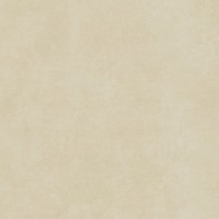 A040374 Керамогранит Raw Toasted Smooht Rect. 60x60