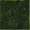 A041643 Плитка Genuine Emerald 10x10