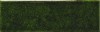 A041658 Плитка Genuine Emerald 6,5x20