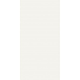 A042019 Плитка Base Neve Rect 60x120