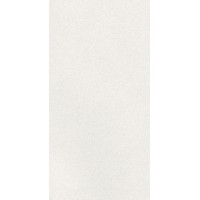 A042731 Плитка Caprice White Rect 60x120
